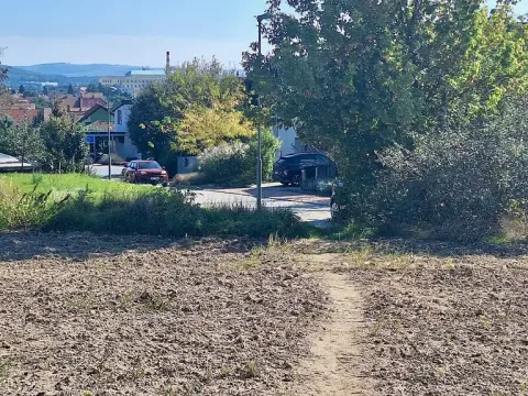 Prodej pozemku pro bydlení, Hrušovany u Brna, Pod Střediskem, 767 m2