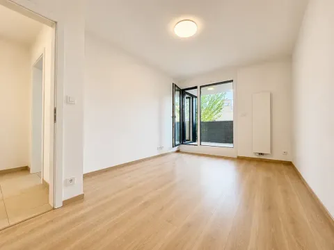 Prodej bytu 2+1, Brno, U Červeného mlýna, 57 m2