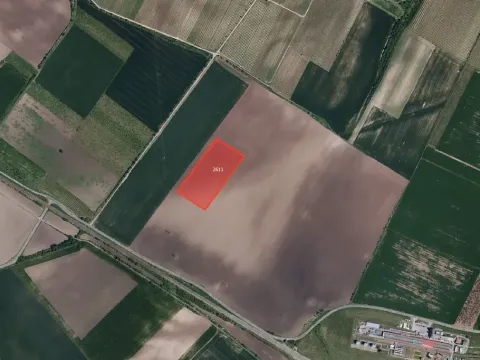 Prodej pole, Popice, 30381 m2