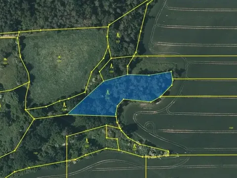 Prodej lesa, Černíkovice, 2471 m2