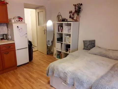Pronájem bytu 1+kk, Praha - Žižkov, U kněžské louky, 35 m2