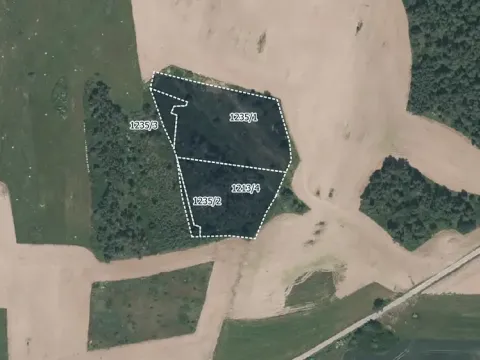Prodej lesa, Velký Bor, 16139 m2