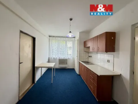 Prodej bytu 1+1, Louny, U Spravedlnosti, 43 m2