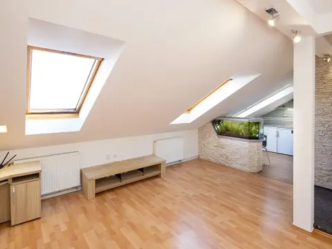 Pronájem bytu 2+kk, Opava, Mánesova, 48 m2