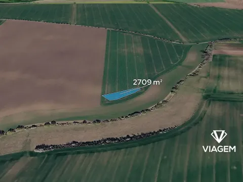 Prodej podílu pole, Žabonosy, 677 m2
