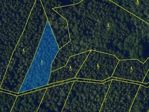Dražba lesa, Horní Krupá, 2114 m2
