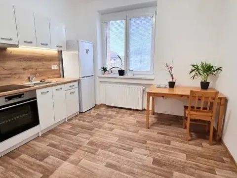 Pronájem bytu 1+1, Jihlava, Dr. Jiřího Procházky, 49 m2