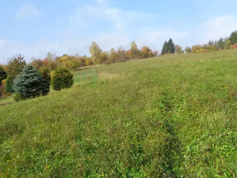 Prodej pozemku pro bydlení, Kosov, 11344 m2