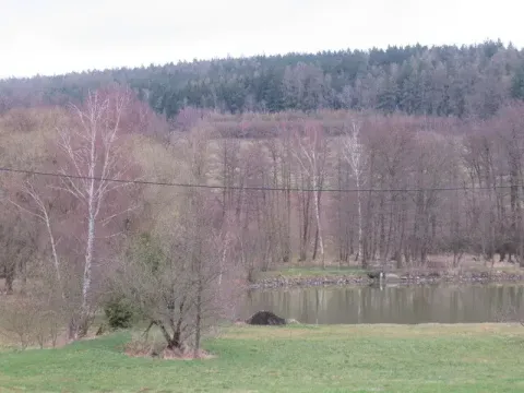 Dražba lesa, Ješetice, 8991 m2
