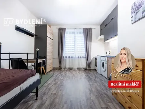 Pronájem bytu 1+kk, Teplice, Duchcovská, 19 m2
