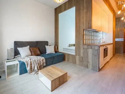 Prodej bytu 1+kk, Brno, Příkop, 31 m2