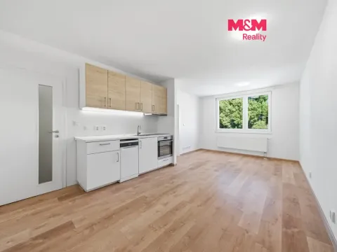 Prodej bytu 2+kk, Česká Třebová, Trávník, 46 m2