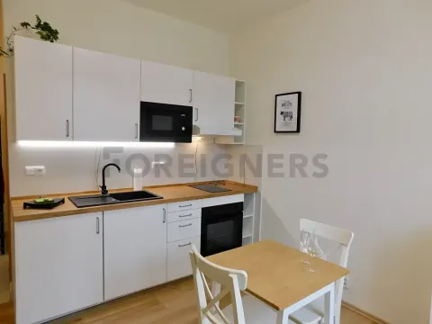 Pronájem bytu 2+kk, Plzeň, Hřímalého, 33 m2
