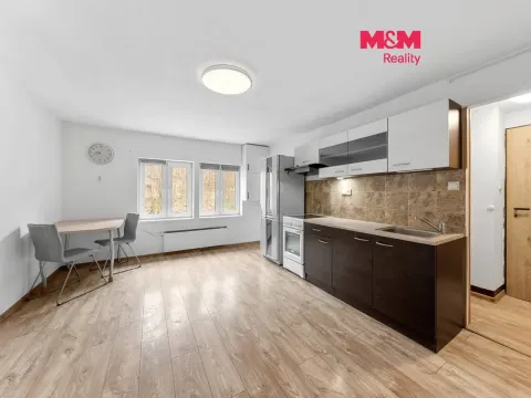 Prodej bytu 1+kk, Benešov nad Ploučnicí, Nádražní, 25 m2