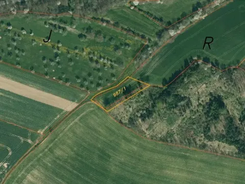 Dražba pole, Nová Ves u Mladé Vožice, 2376 m2