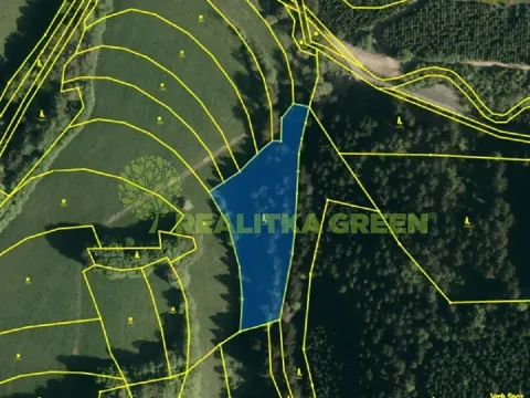 Prodej lesa, Leskovec, 5162 m2