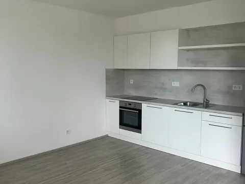 Pronájem bytu 2+kk, Olomouc, Wittgensteinova, 53 m2