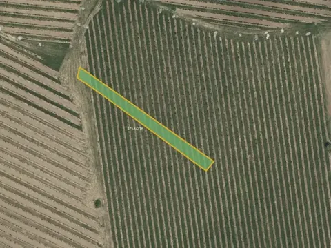 Prodej sadu/vinice, Vracov, 912 m2