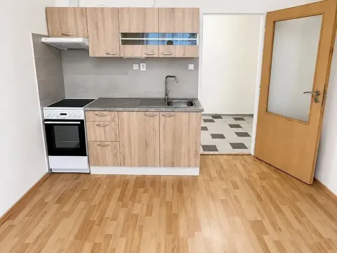 Pronájem bytu 1+kk, Brno, Bayerova, 30 m2