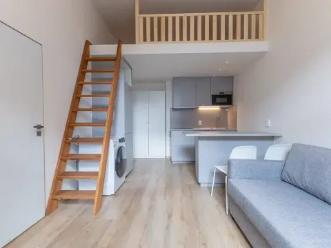 Pronájem bytu 1+kk, Praha - Holešovice, Na Maninách, 27 m2