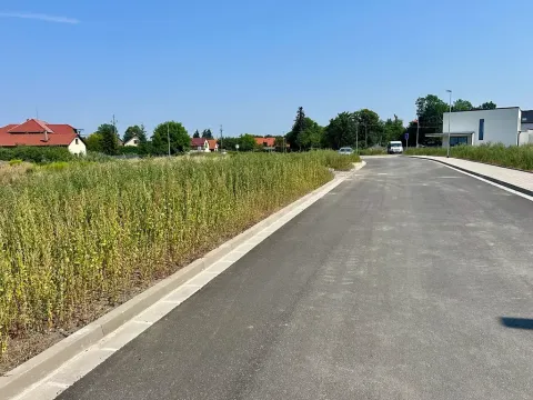 Prodej pozemku pro bydlení, Dašice, Pod Lipami, 1082 m2