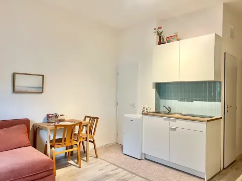 Prodej bytu 1+kk, Slaný, Kreibichova, 21 m2