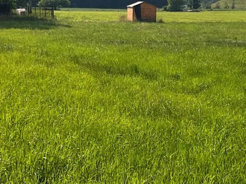 Prodej pozemku pro bydlení, Dobrá, 1044 m2