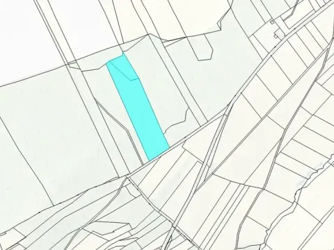 Dražba lesa, Nový Jičín, 19574 m2
