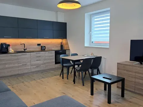 Pronájem bytu 2+kk, Loučná pod Klínovcem, 56 m2