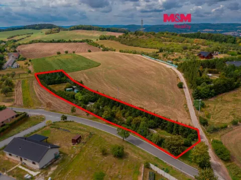 Prodej pozemku pro bydlení, Tmaň - Lounín, 4059 m2