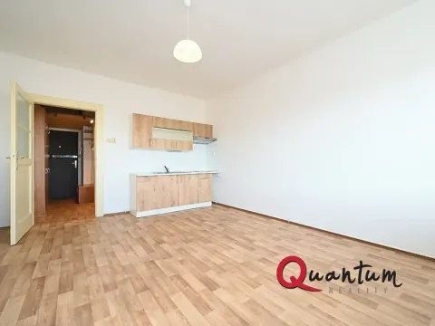 Pronájem bytu 1+kk, Praha - Vinohrady, Fričova, 32 m2