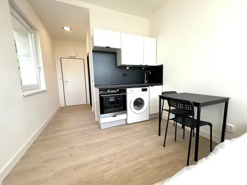 Pronájem bytu 1+kk, Praha - Vysočany, U vinných sklepů, 20 m2