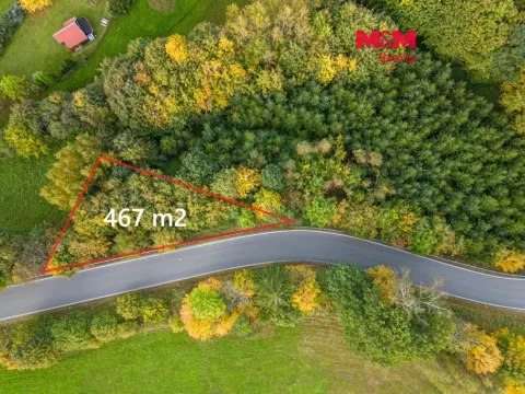 Prodej lesa, Kosov, 467 m2
