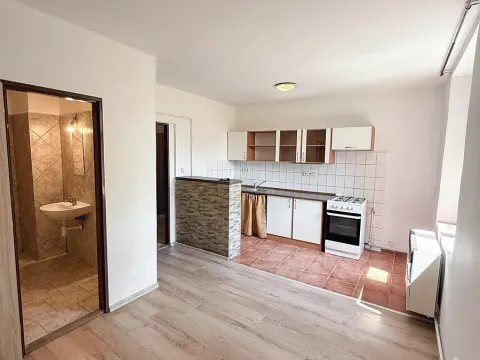 Pronájem bytu 1+kk, Český Brod, Želivského, 52 m2