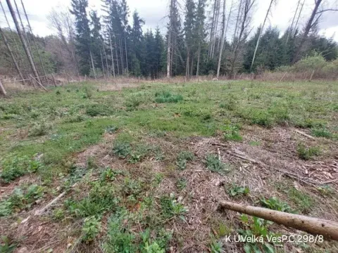 Prodej lesa, Lukavec, 1183 m2