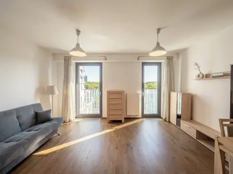 Pronájem bytu 1+kk, Praha - Žižkov, Olšanská, 35 m2