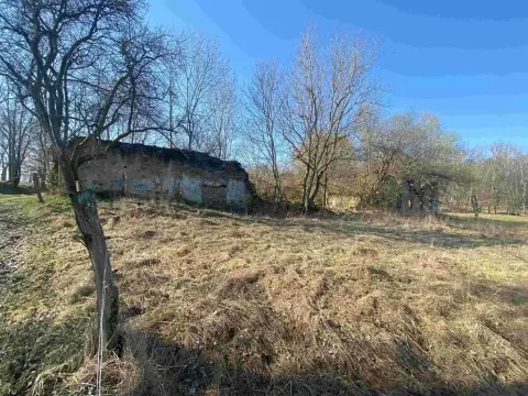Dražba pozemku pro bydlení, Dolní Dvořiště, 11107 m2