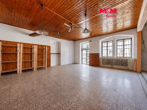 Prodej obchodního prostoru, Týnec nad Labem, Havlíčkova, 207 m2