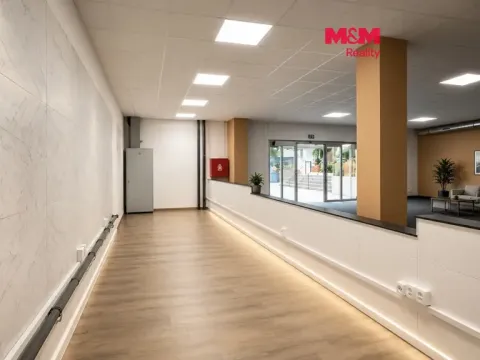 Pronájem kanceláře, Rychnov nad Kněžnou, Havlíčkova, 291 m2