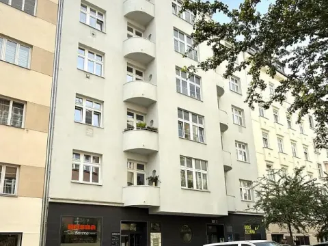 Prodej bytu 2+1, Brno - Veveří, Gorkého, 77 m2