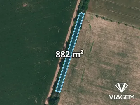 Prodej lesa, Těšetice, 882 m2