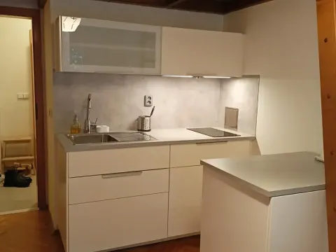 Pronájem bytu 1+kk, Praha - Podolí, Levá, 23 m2