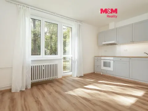 Pronájem bytu 1+kk, Ostrava - Poruba, 27 m2