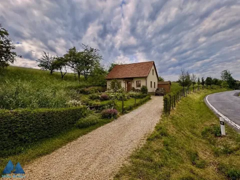 Prodej pozemku pro bydlení, Libňatov, 1680 m2