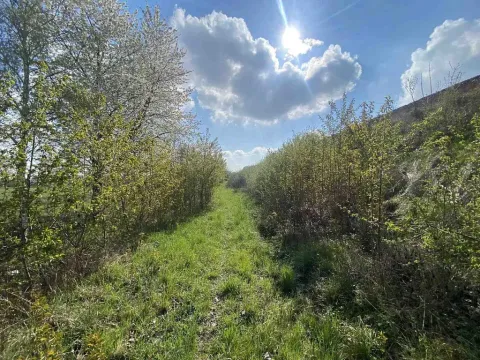 Prodej pozemku, Černčice, 3560 m2