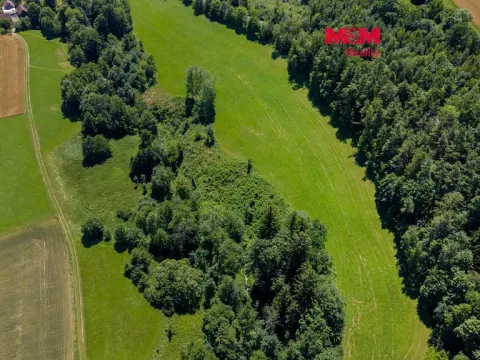 Prodej lesa, Bílá, 11944 m2
