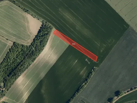 Prodej pole, Kozlany, 6071 m2