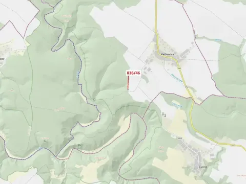 Dražba lesa, Ketkovice, 594 m2