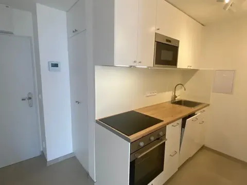 Pronájem bytu 2+kk, Praha - Žižkov, Malešická, 45 m2