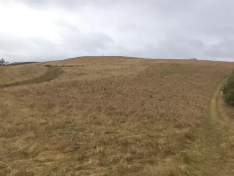 Dražba louky, Letovice, 25345 m2